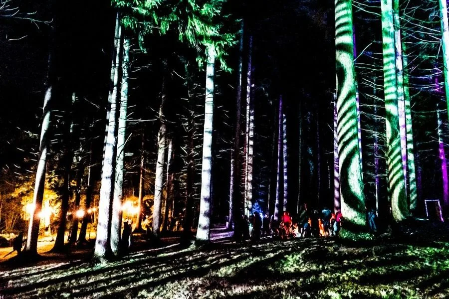 Forest Lit Up &ndash; Wasing Outdoor Events
