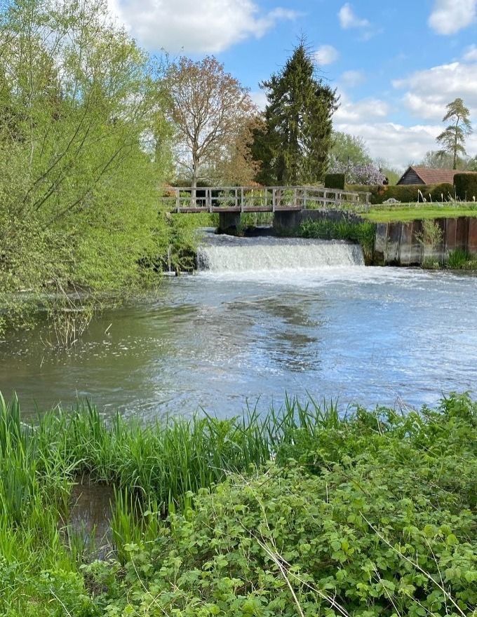 River Kennet – Wasing Estate Fishing – Wasing Park