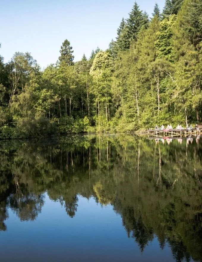 Wild Swim Saturdays at Wasing lakes