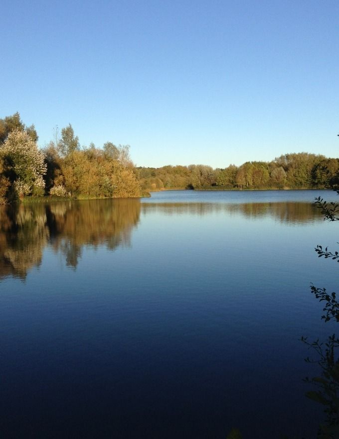 Lake Fishing – Wasing Estate Fishing – Wasing Park