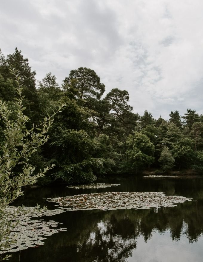 Wasing Lake – Wasing Park