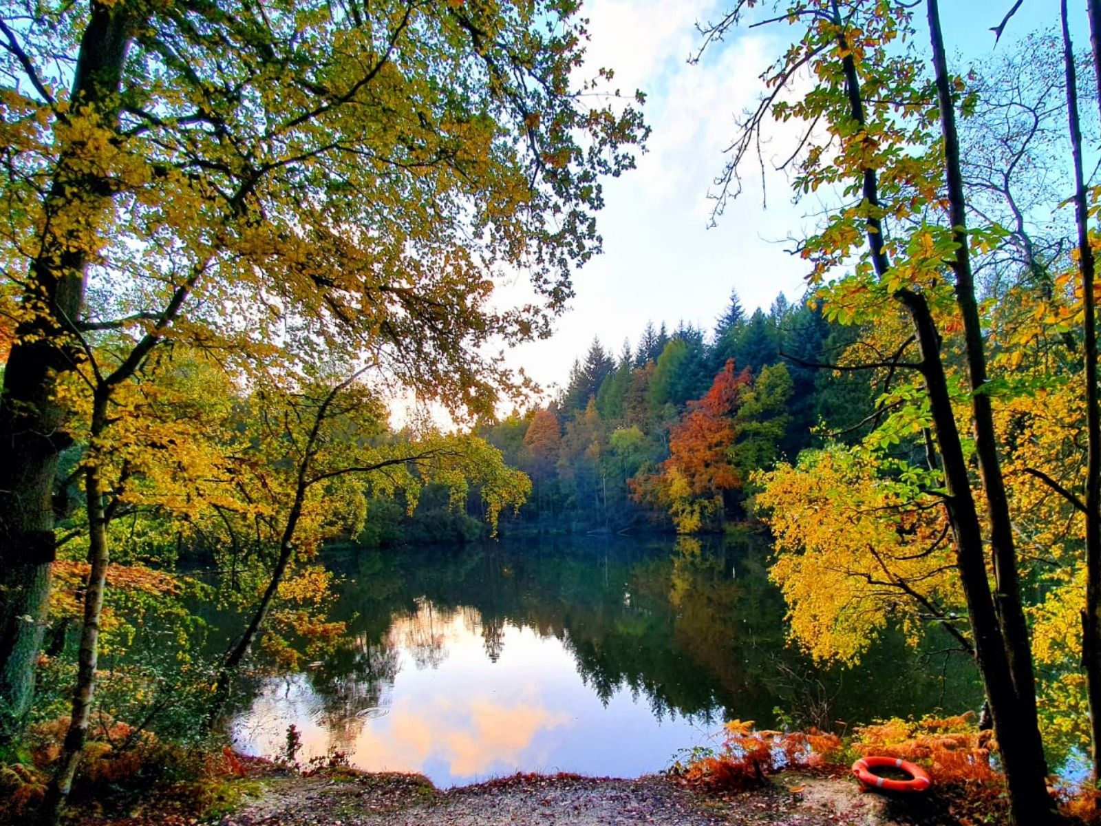 A Transformational Programme Of Progressive Natural Healing