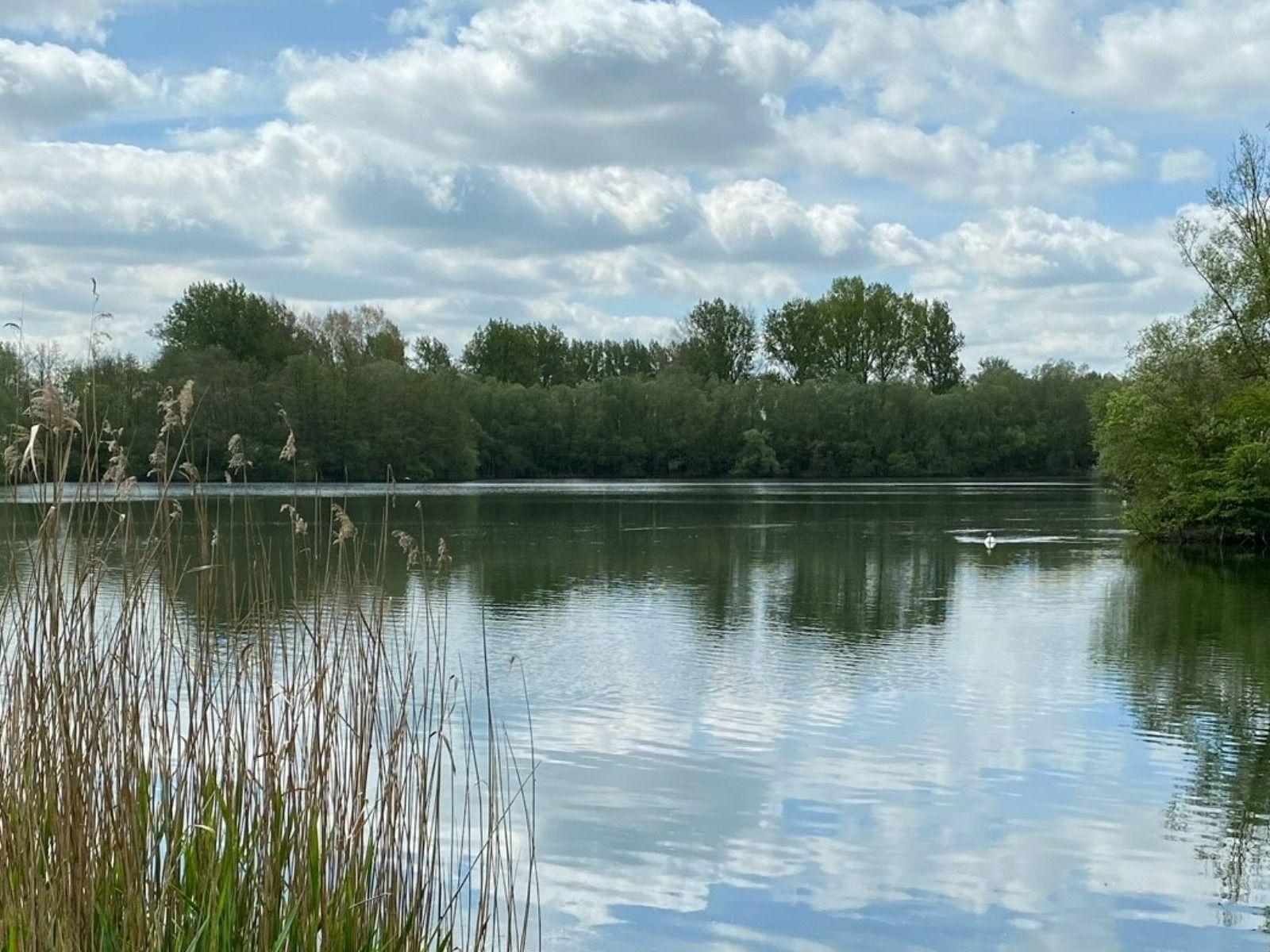 Wasing help with marine and fishing conservation