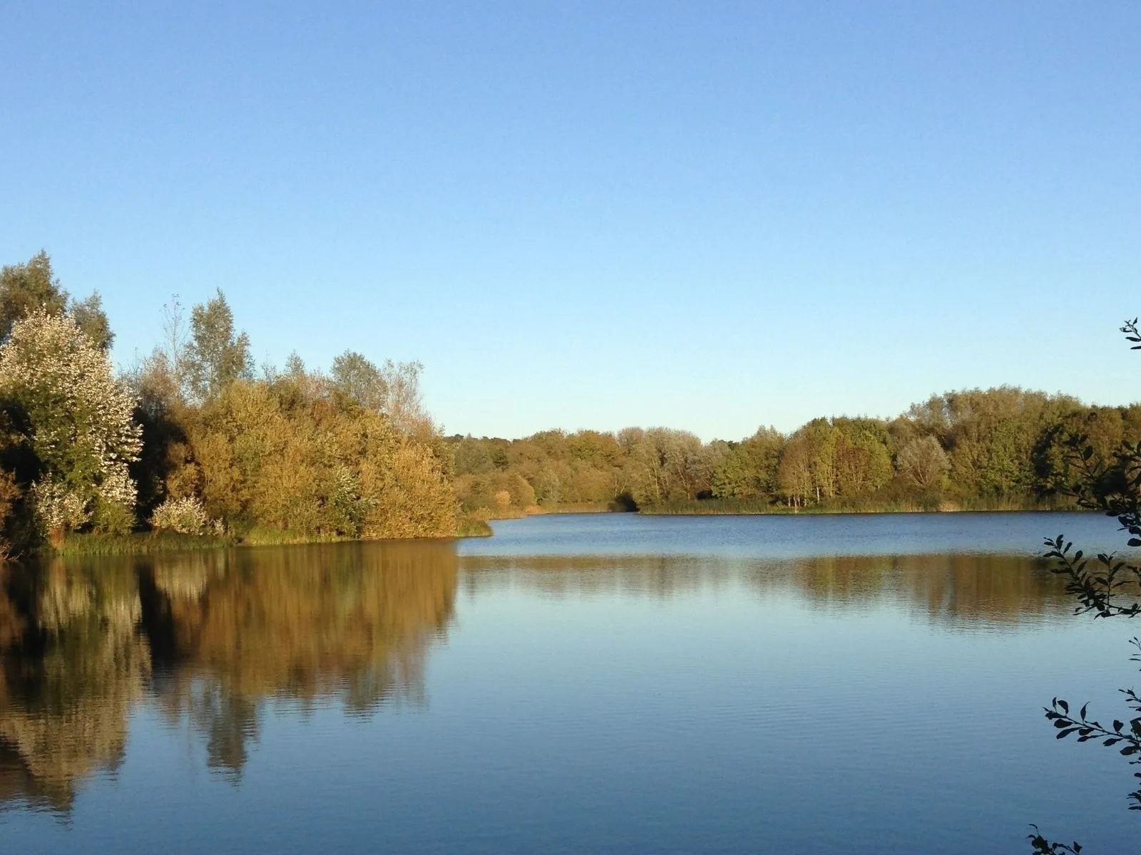 Wasing Fisheries Go Green Campaign