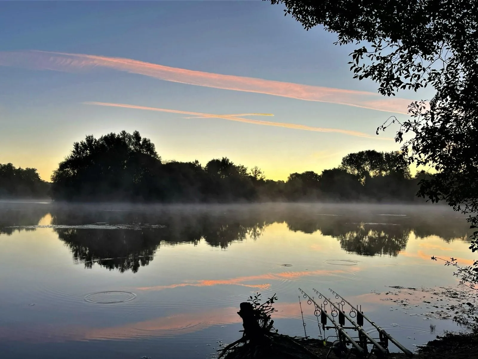 Wasing Fisheries Nature Notes Blog