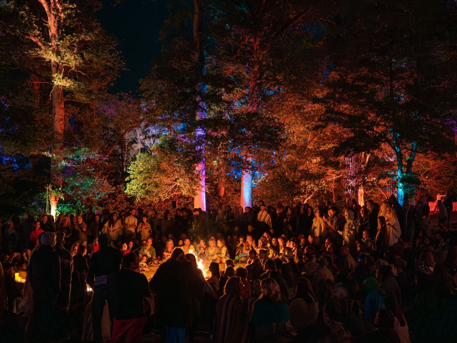 The Fireside Sessions