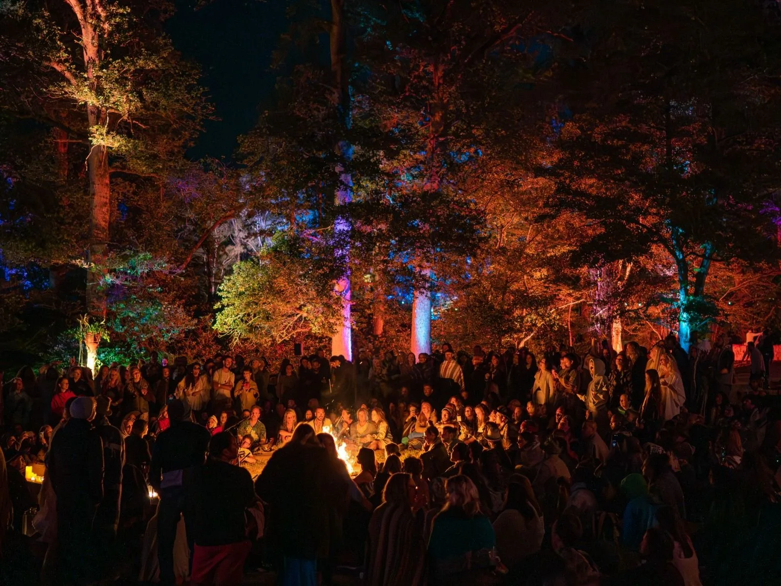 The Fireside Sessions