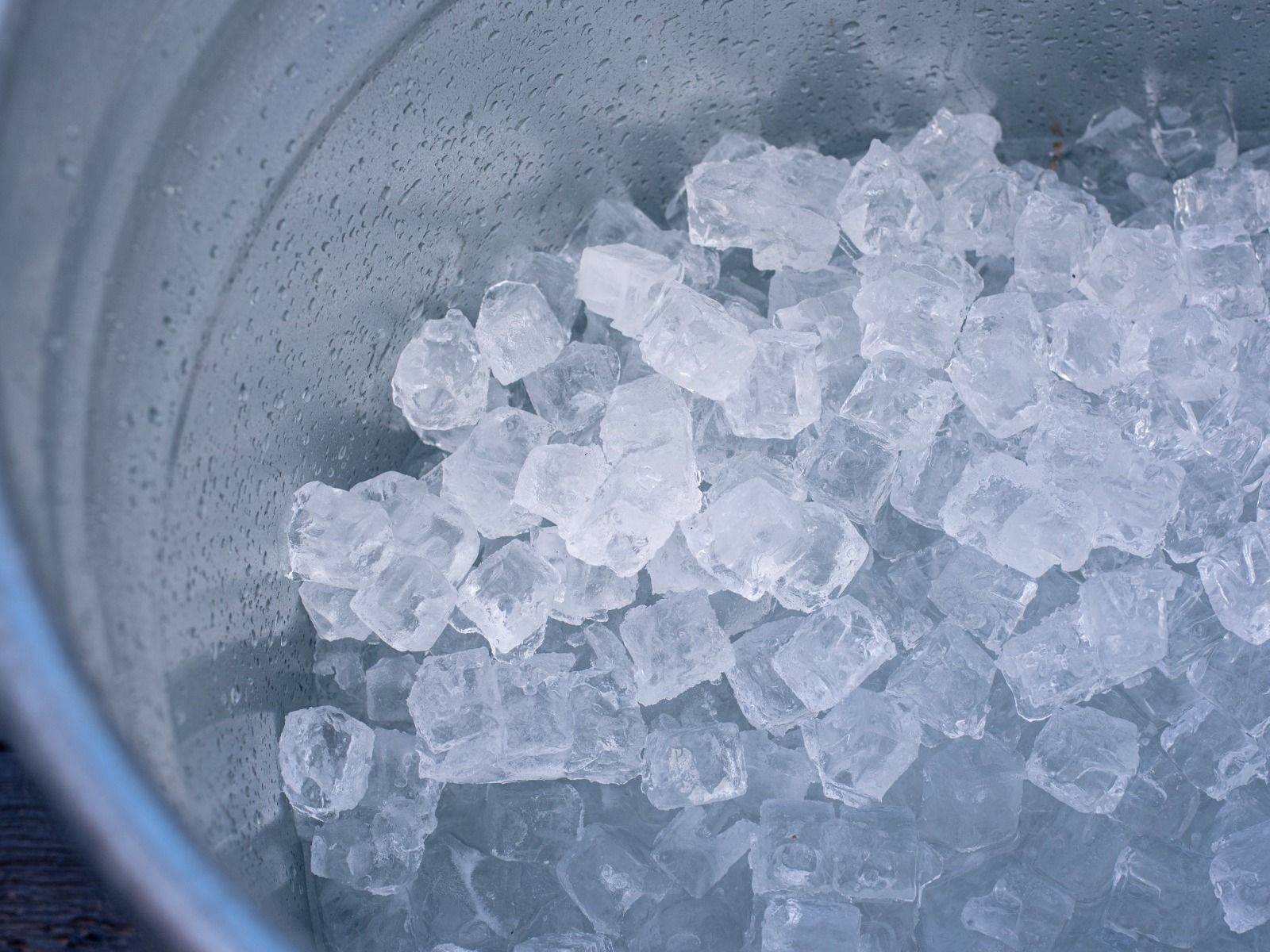 Wim Hof Fundamentals Day Retreat