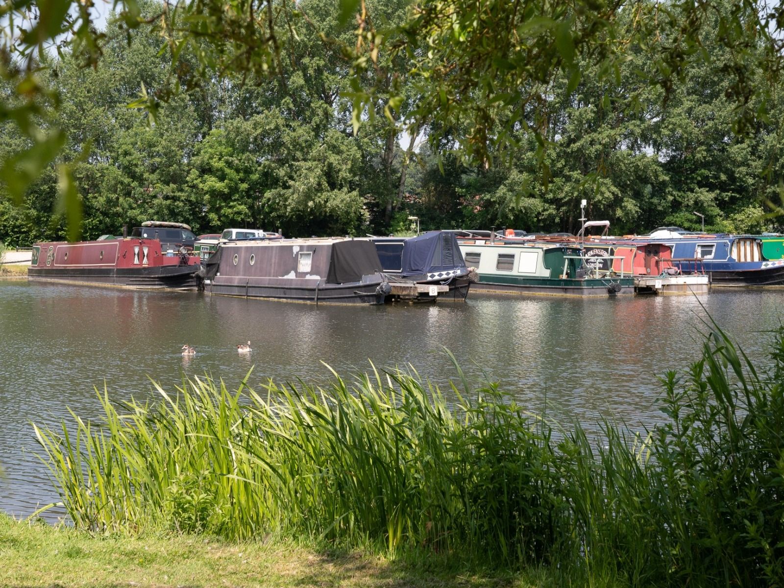 THE WASING WHALE MAKES A SPLASH AT FROUDS BRIDGE MARINA