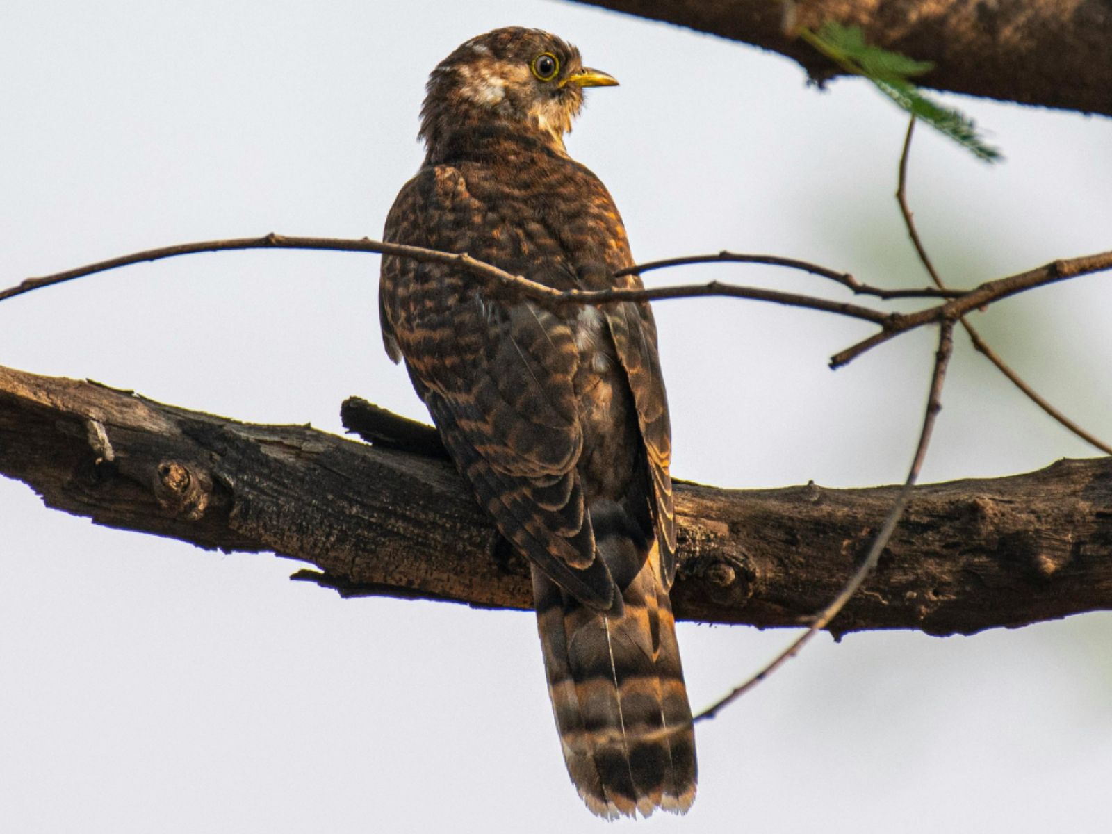 Wasing Fisheries Spring Nature Notes Blog