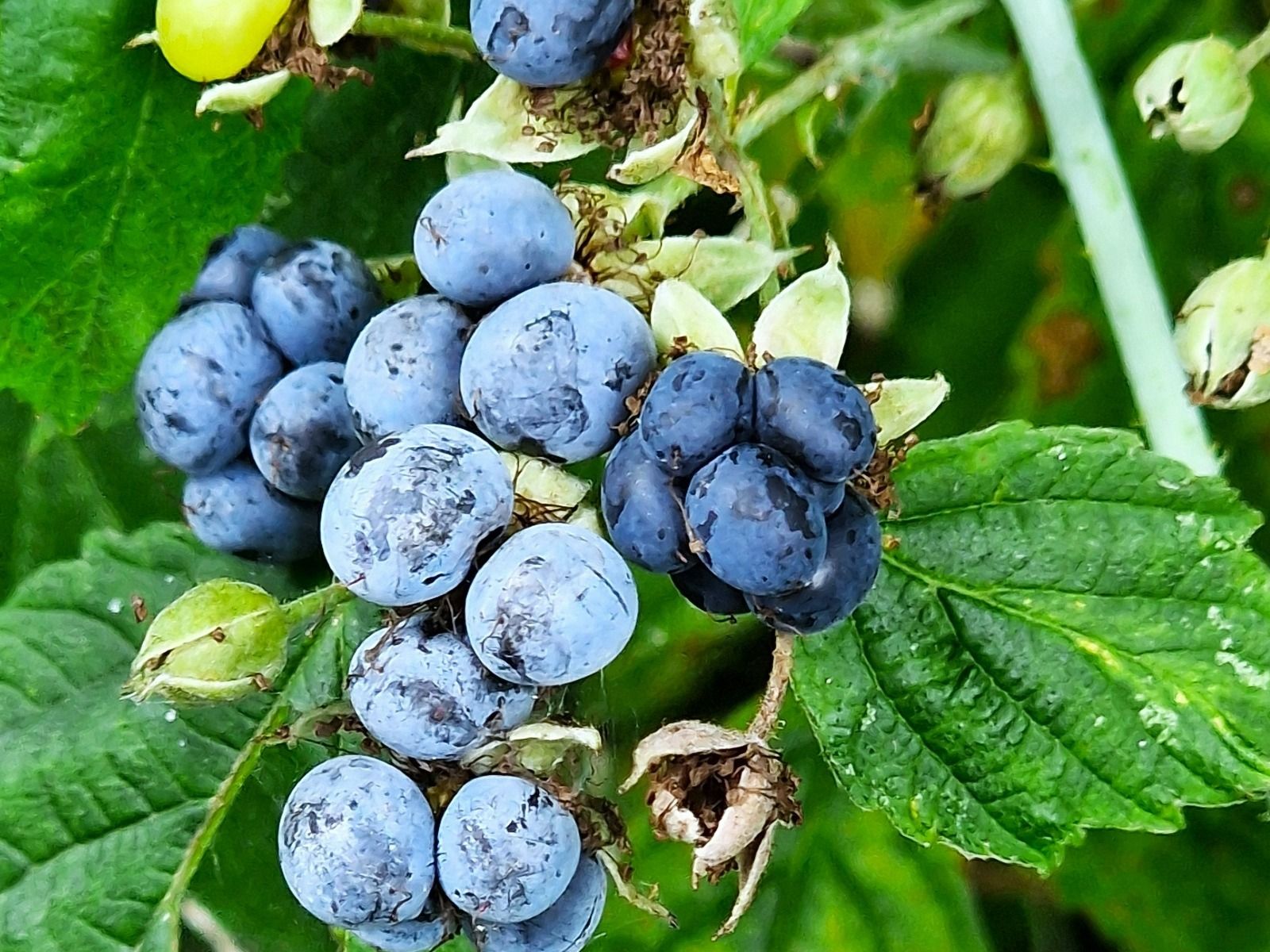 Wasing Fisheries September Nature Notes Blog