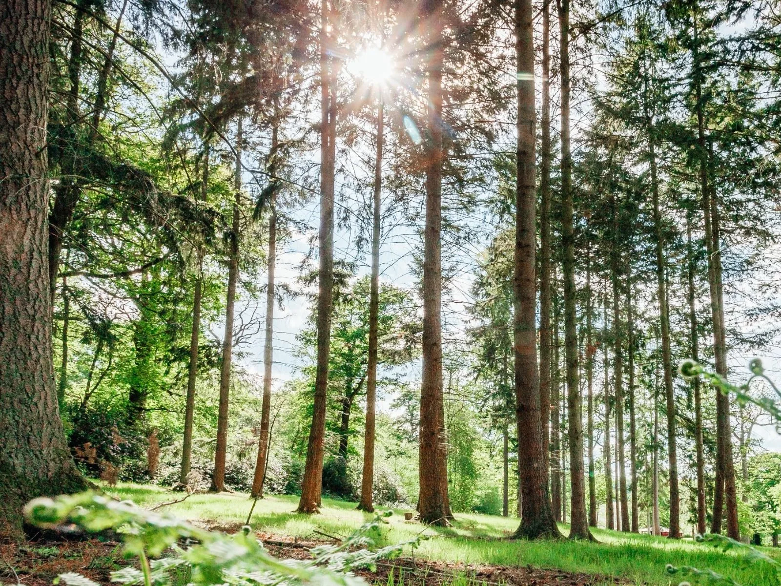 Wasing Wellbeing Gift Vouchers