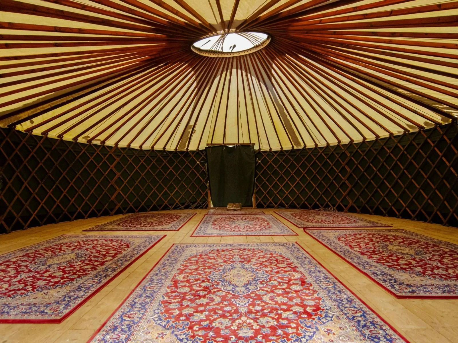 Wild Women Retreat with Rebecca Dennis