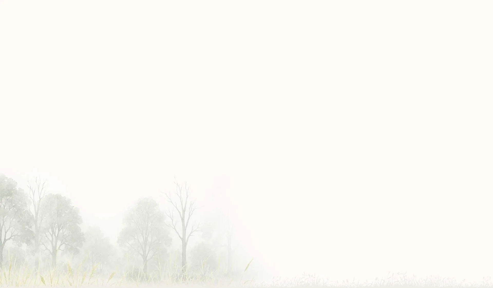 Forest illustration – Wasing Park